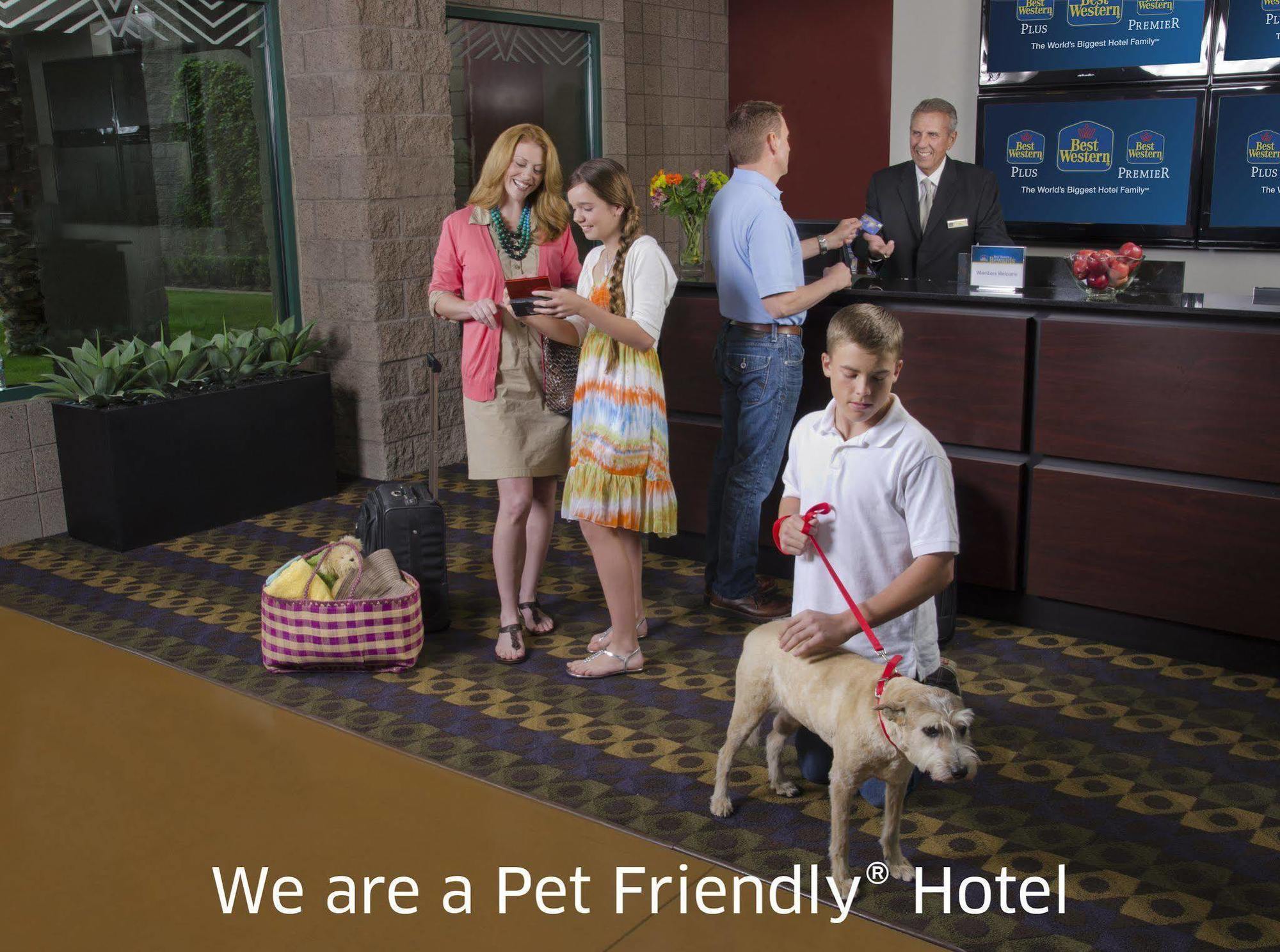 Best Western Braddock Inn La Vale Экстерьер фото